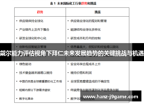 戴尔能力评估视角下拜仁未来发展趋势的关键挑战与机遇