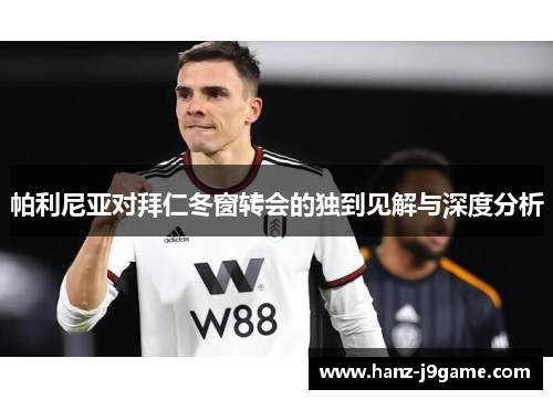 帕利尼亚对拜仁冬窗转会的独到见解与深度分析