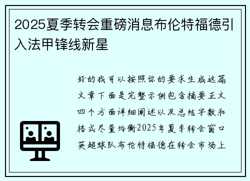 2025夏季转会重磅消息布伦特福德引入法甲锋线新星